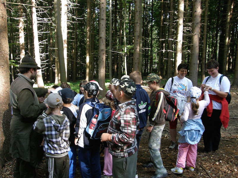 Lesná pedagogika